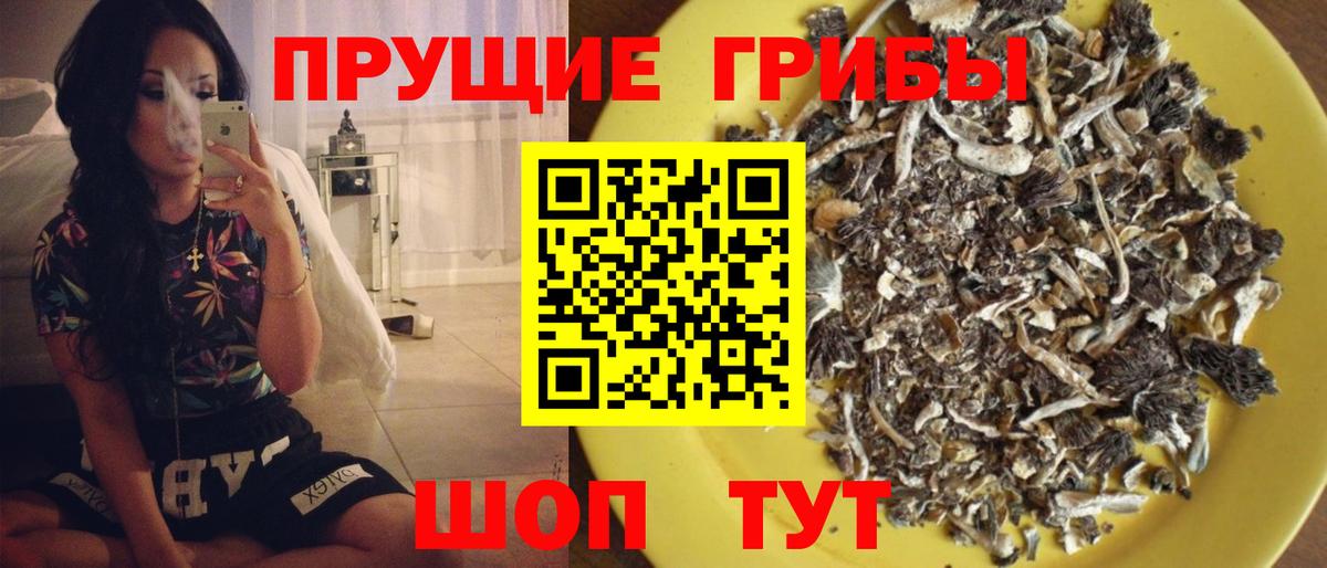 Санкт-Петербург  Псилоцибиновые грибы Psilocybine cubensis  Вход с VPN  Псилоцибиновые грибы Cubensis 